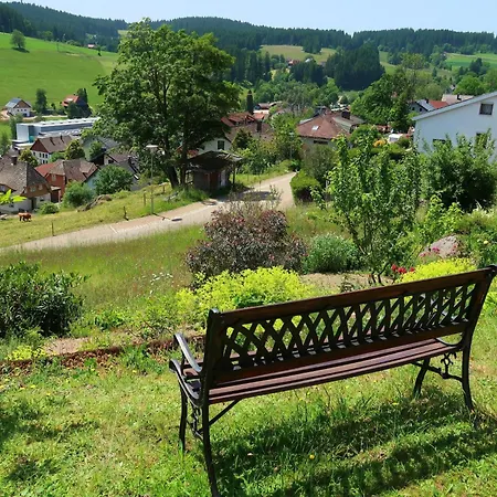 Blackforest Birdnest By Interhome Apartmán