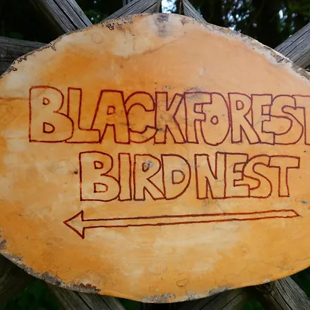 Blackforest Birdnest By Interhome Schonach im Schwarzwald